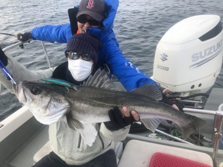 Rush(ラッシュ) 釣果