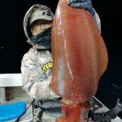 泰丸 釣果