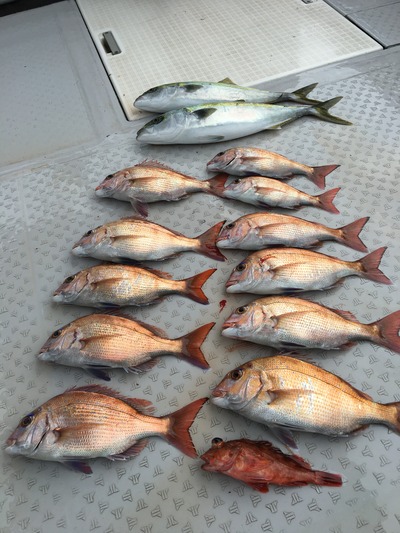 ミタチ丸 釣果