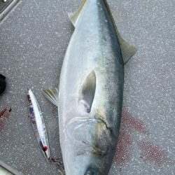 まるいち丸 ZERO-1 釣果