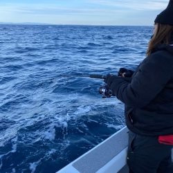 へいみつ丸 釣果