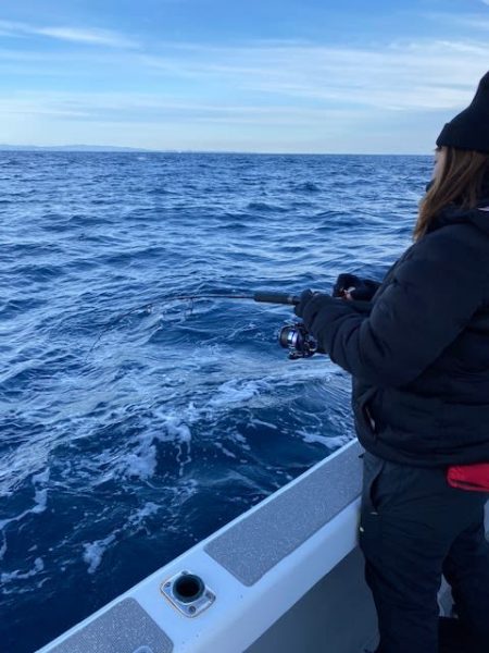 へいみつ丸 釣果