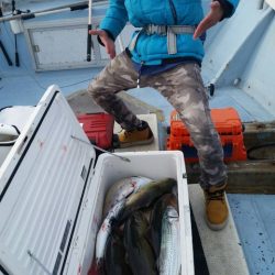 第五慶門丸 釣果