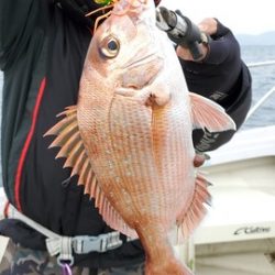 遊漁船 ニライカナイ 釣果