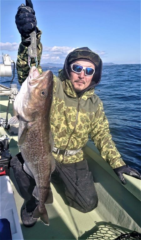 気仙沼　つり丸 釣果