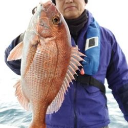 遊漁船　ニライカナイ 釣果