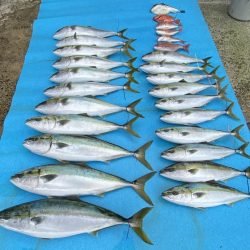 まるいち丸 ZERO-1 釣果