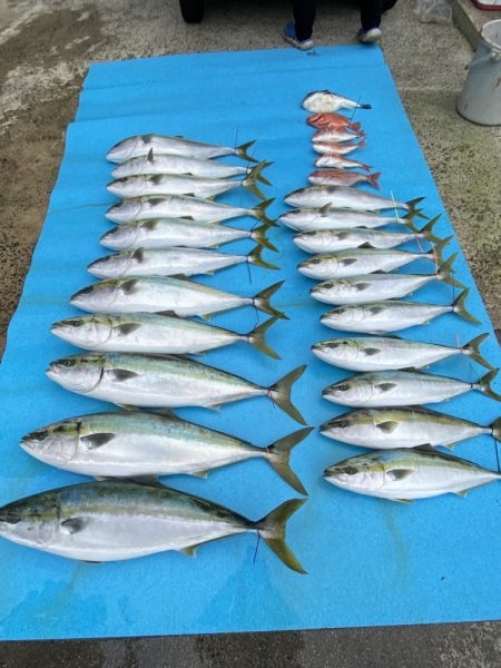 まるいち丸 ZERO-1 釣果