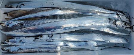 遊漁船 ニライカナイ 釣果