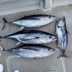 へいみつ丸 釣果