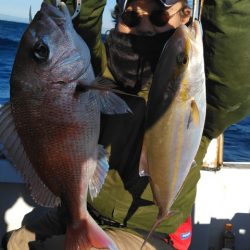 遊漁船 新鋭丸 釣果