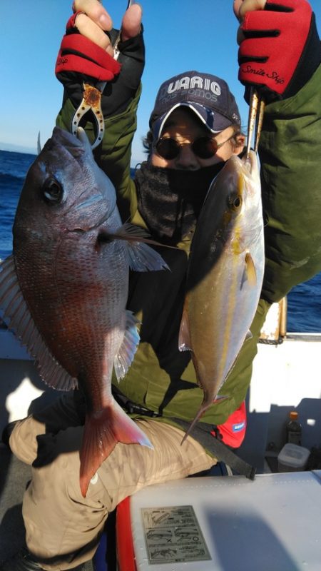 遊漁船 新鋭丸 釣果