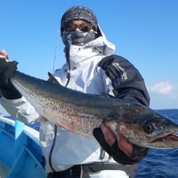 さわ浦丸 釣果