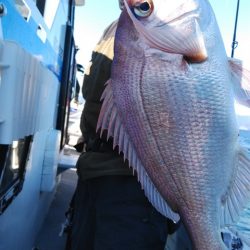 遊漁船 新鋭丸 釣果