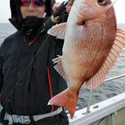遊漁船 ニライカナイ 釣果