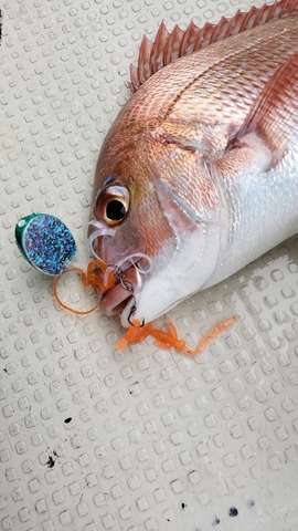 遊漁船　ニライカナイ 釣果