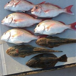 めだか屋 釣果