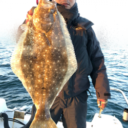 Magic（マジック） 釣果