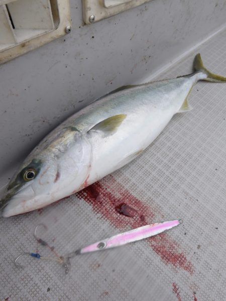 まるいち丸 ZERO-1 釣果