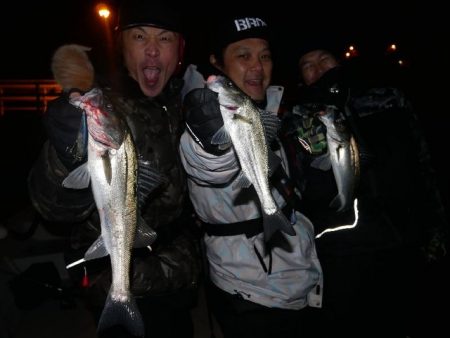 TOPGUN名古屋 釣果