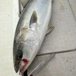 まるいち丸 ZERO-1 釣果