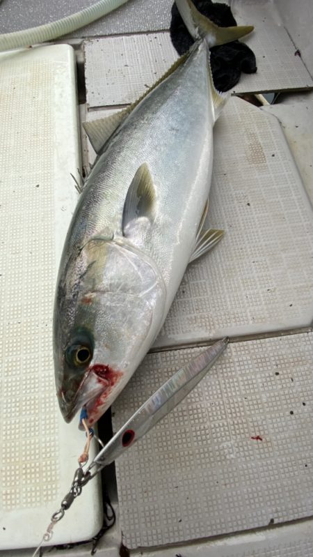 まるいち丸 ZERO-1 釣果