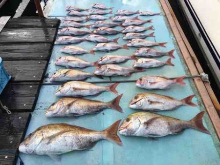 遊漁船 セトマリン 釣果