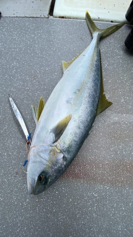 まるいち丸 ZERO-1 釣果