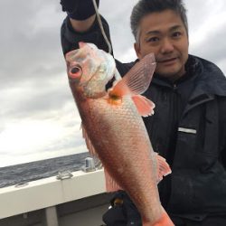 凪紗丸 釣果