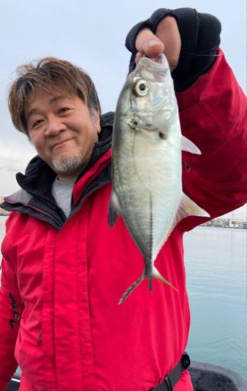 シーマジカル 釣果