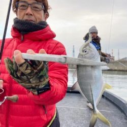 シーマジカル 釣果