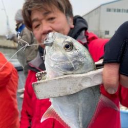 シーマジカル 釣果
