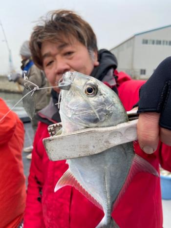 シーマジカル 釣果