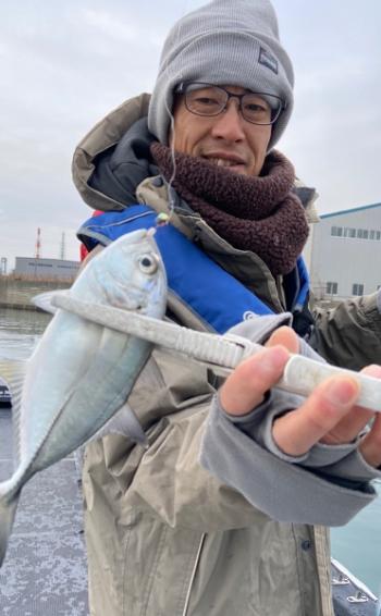 シーマジカル 釣果