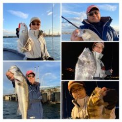 シーマジカル 釣果