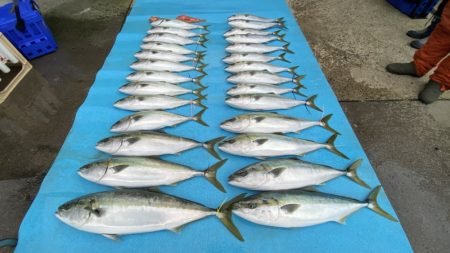 まるいち丸 ZERO-1 釣果