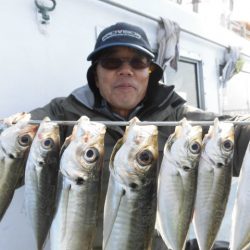 まとばや 釣果