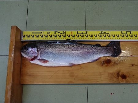 志高湖フィッシング 釣果