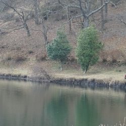 志高湖フィッシング 釣果