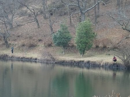 志高湖フィッシング 釣果