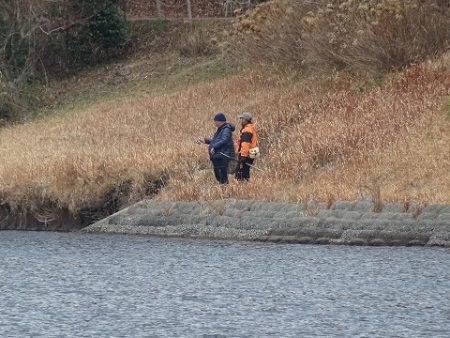 志高湖フィッシング 釣果