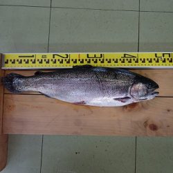 志高湖フィッシング 釣果