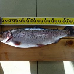 志高湖フィッシング 釣果