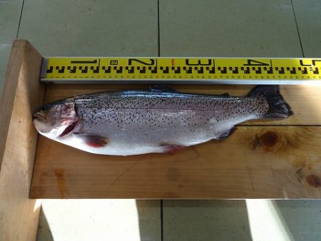 志高湖フィッシング 釣果