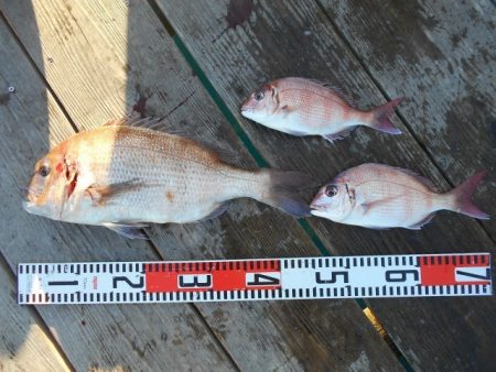 こかわ渡船　雅丸 釣果