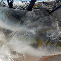 ＨＡＲＵＫＡ丸　はるかまる 釣果