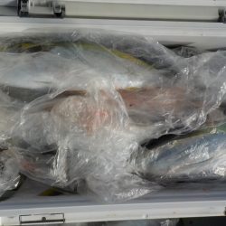 ＨＡＲＵＫＡ丸　はるかまる 釣果