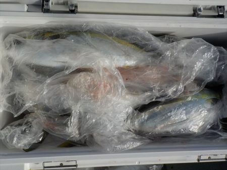 ＨＡＲＵＫＡ丸　はるかまる 釣果