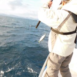 ジギング船 BLUEWATER 釣果