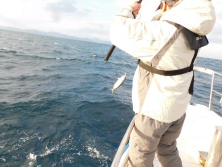 ジギング船 BLUEWATER 釣果